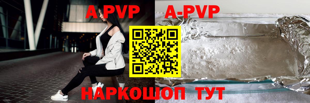 Альфа ПВП СК Великий Новгород