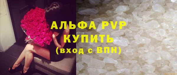 гидра Новодвинск