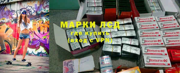 гидра Новодвинск