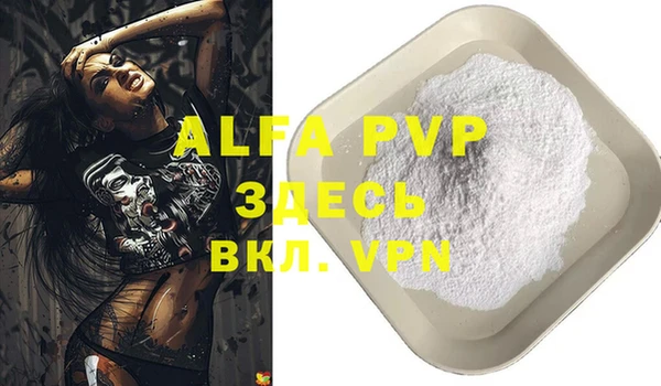 гидра Новодвинск