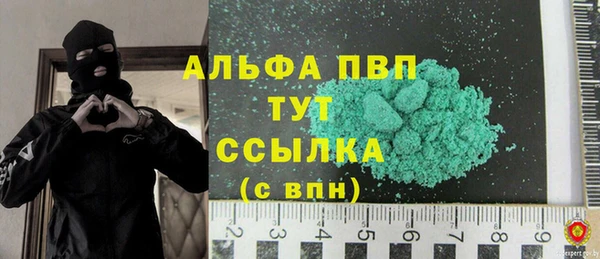 гидра Новодвинск