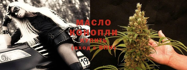 гидра Новодвинск