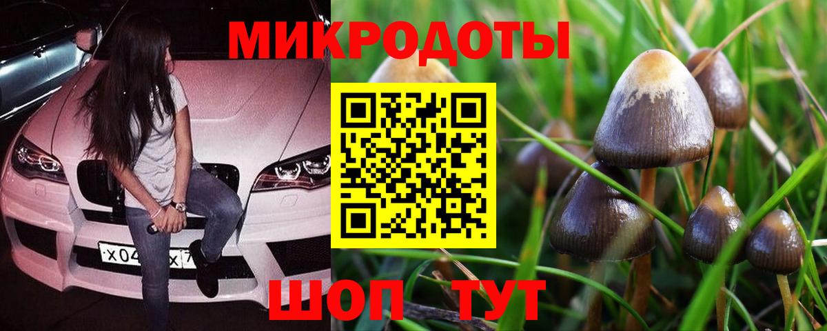 Галлюциногенные грибы Magic Shrooms Великий Новгород
